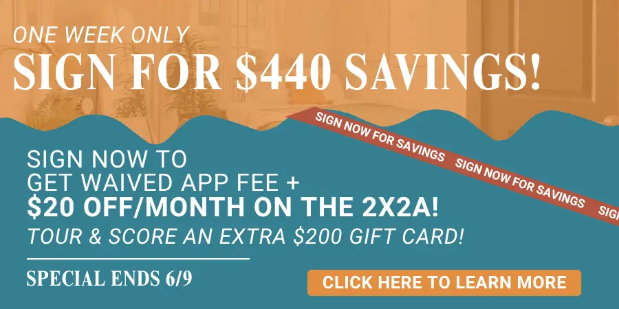 Maci 2025 New Lease Campaign PopUp (53)