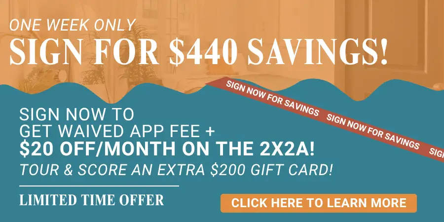 Maci 2025 New Lease Campaign PopUp (54)