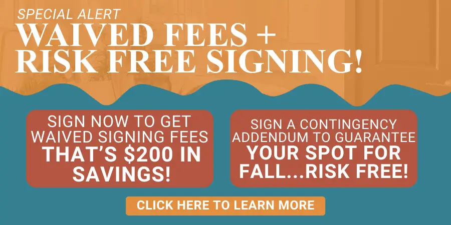 Maci 2025 New Lease Campaign PopUp (16)